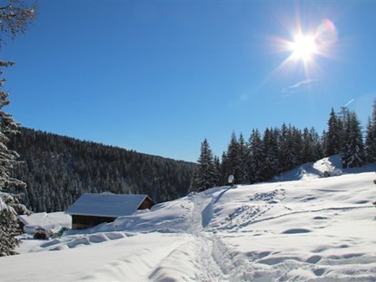 Hotels an der Piste - Sauna - Moos/Pass - Winterwandern - Wohlfühlhotel Falzeben