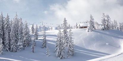Hotels an der Piste - Hotel-Schwerpunkt: Skifahren & Wellness - Zell am See - Winter im Skicircus Saalbach Hinterglemm Leogang Fieberbrunn - Ski & Bike Hotel Wiesenegg