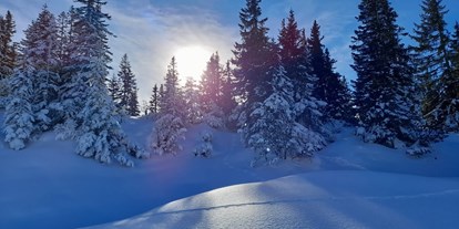 Hotels an der Piste - Sonnenterrasse - Skigebiet Brandnertal - VALAVIER Aktivresort