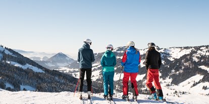 Hotels an der Piste - Skigebiet Balderschwang - Skigebiet Balderschwang nur 400 Meter entfernt - Bio-Berghotel Ifenblick