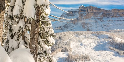 Hotels an der Piste - Skiraum: vorhanden - Skiregion Alta Badia - Hotel Lech da Sompunt