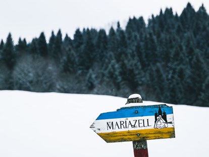 Hotels an der Piste - Skiraum: versperrbar - Skigebiet Mariazeller Bürgeralpe - Hideaway Hotel**** Montestyria Chalets & Suiten