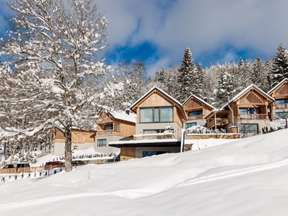 Hotels an der Piste - Wellnessbereich - Skigebiet Mariazeller Bürgeralpe - Hideaway Hotel**** Montestyria Chalets & Suiten
