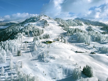 Hotels an der Piste - Dienten am Hochkönig - Gernkogel - Skigebiet - Alpina Alpendorf