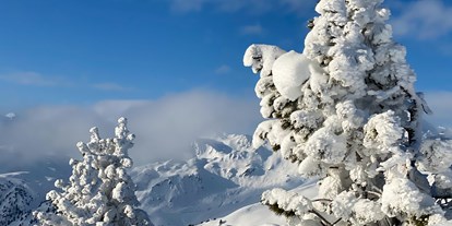 Hotels an der Piste - Ski-Optimal Hochzillertal Kaltenbach - Winterwonderland Wachterhof - Chalets & Apartments Wachterhof