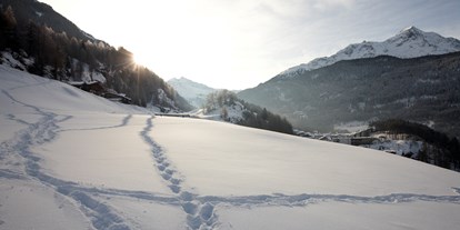 Hotels an der Piste - Hotel-Schwerpunkt: Skifahren & Familie - Moos/Passeier - Alpengasthof Grüner