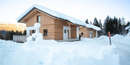 Hotels an der Piste - Preisniveau: günstig - Skigebiet Nassfeld - Chalets und Apartments Hauserhof