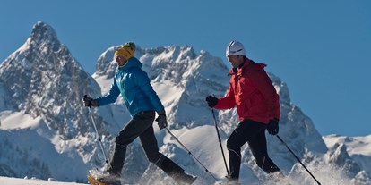 Hotels an der Piste - Skiraum: Skispinde - Skigebiet Karkogel - Schneeschuwanderung - Landhotel-Gasthaus Traunstein