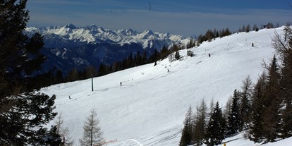 Hotels an der Piste - geführte Skitouren - Kärnten - Skigebiet - Almhotel Fichtenheim