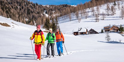 Hotels an der Piste - Hotel-Schwerpunkt: Skifahren & Therme - Nockberge - Schneeschuhwandern in den Nockbergen - Trattlers Hof-Chalets