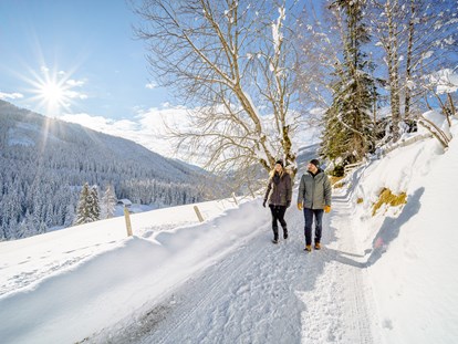 Hotels an der Piste - Hotel-Schwerpunkt: Skifahren & Familie - Österreich - Winterwandern - Hotel GUT Trattlerhof & Chalets****
