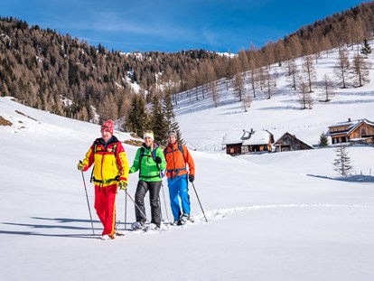 Hotels an der Piste - Hotel-Schwerpunkt: Skifahren & Wellness - Schneeschuhwandern - Hotel GUT Trattlerhof & Chalets****