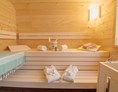 Skihotel: Sauna im Ferienhaus Grundlsee - Narzissendorf Zloam